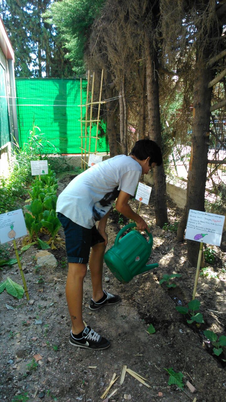Continuando con el proyecto de Escuela Ecológica