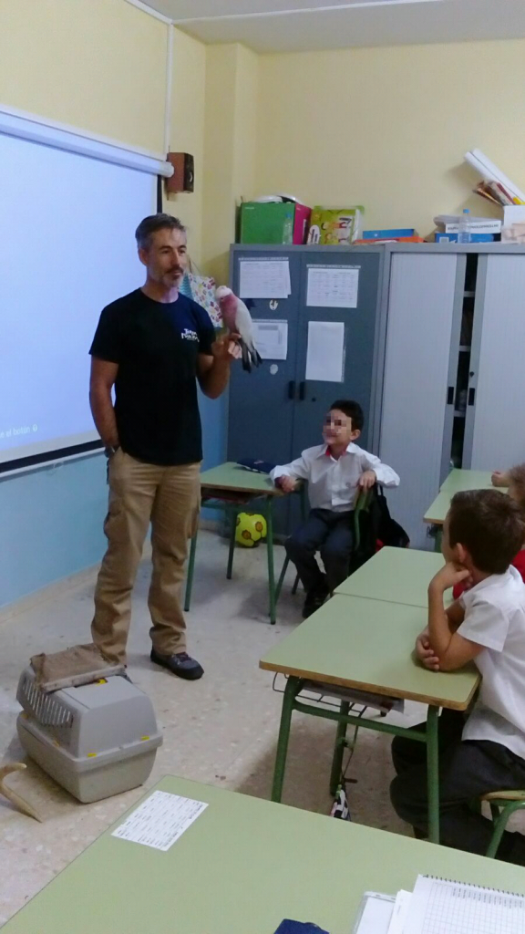 17 de noviembre de 2015 194327 CET