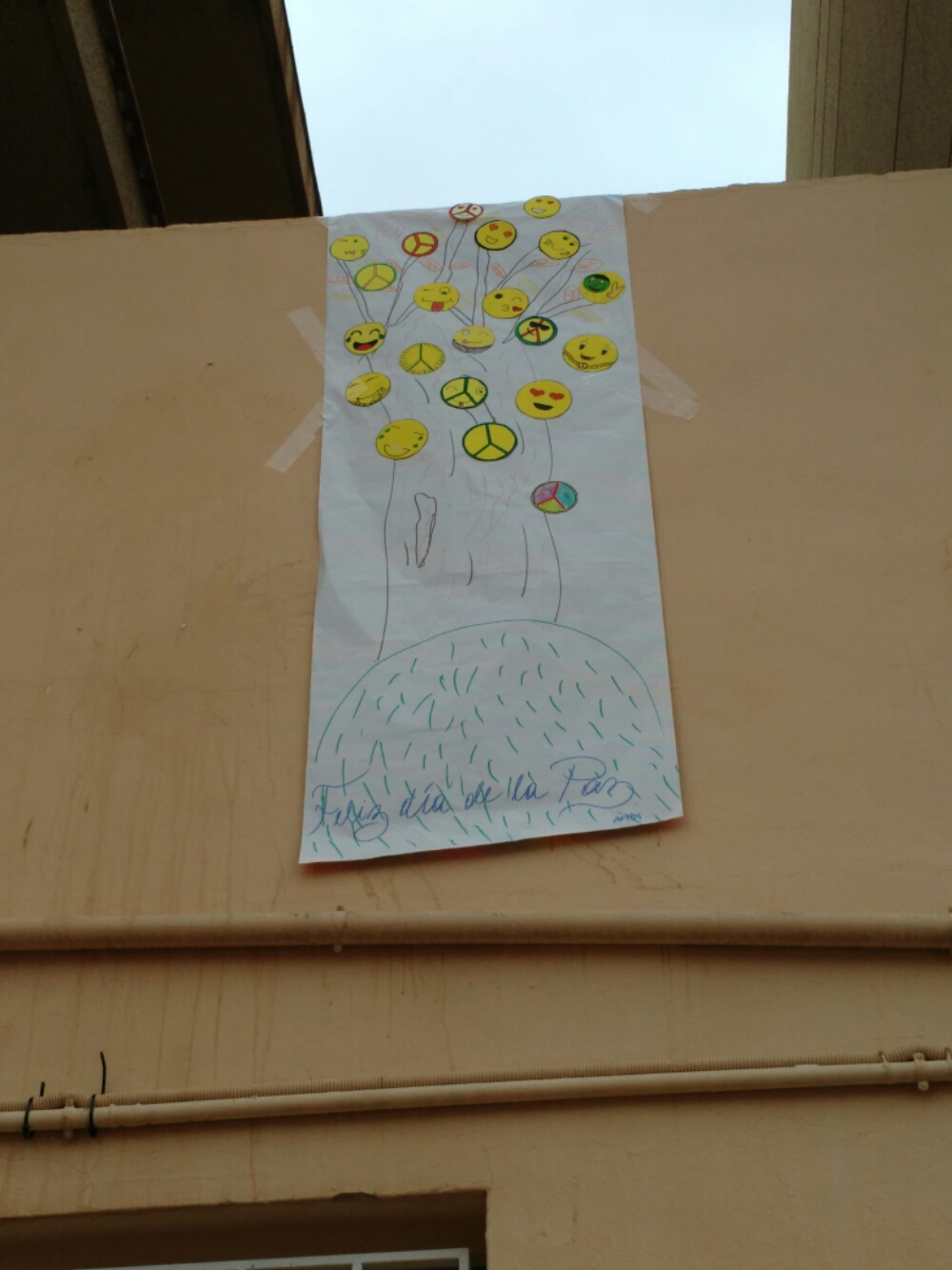 IMG_20160129_114751.jpg image