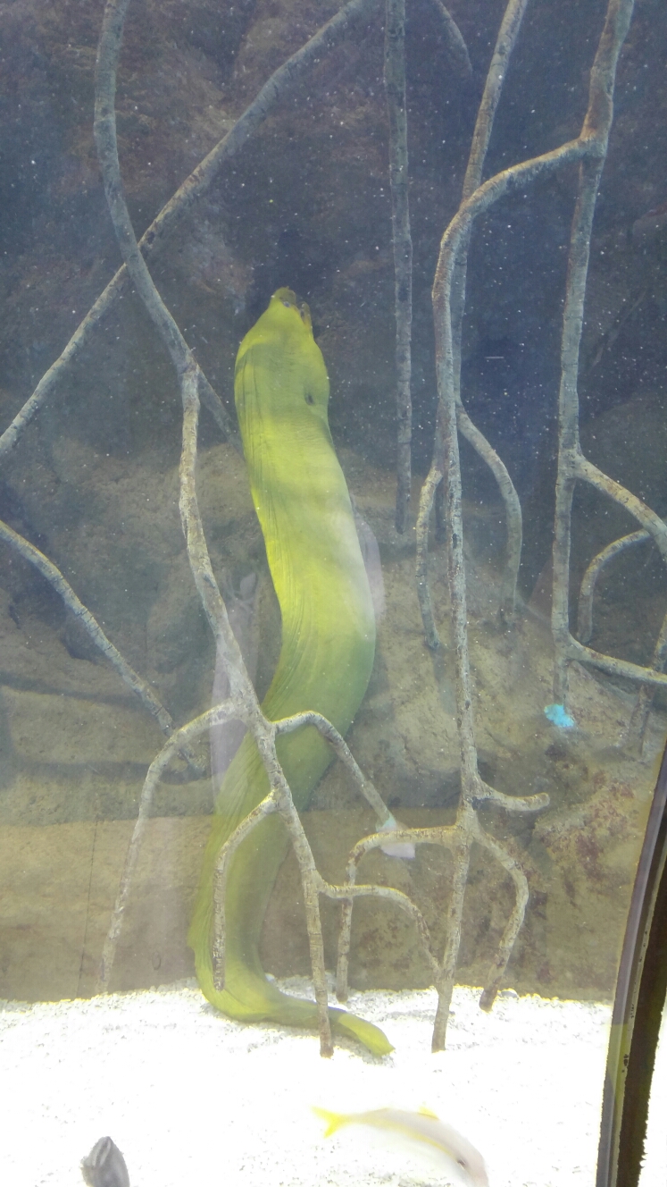 20160617_112651.jpg image