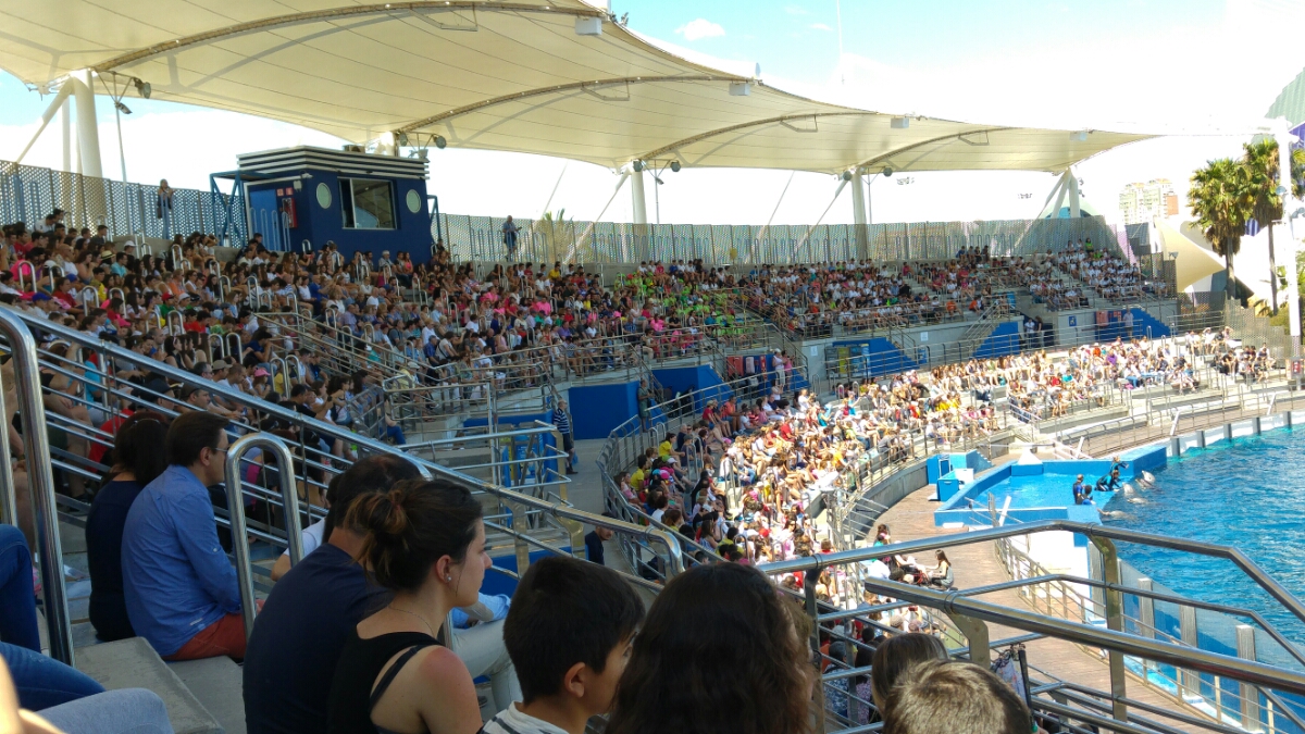 20160617_120325.jpg image