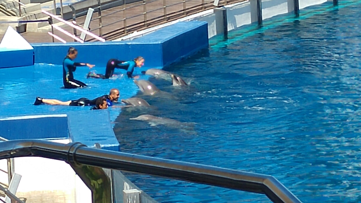 20160617_120401.jpg image