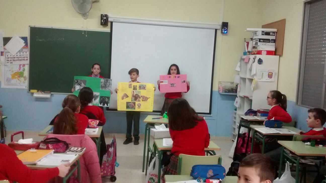 4° Monográficos sobre los invertebrados